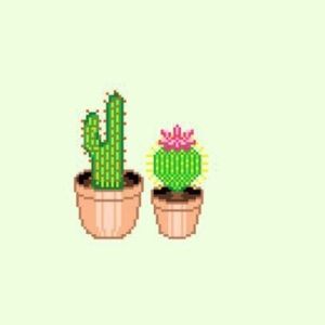 Meet your Posher, Maddie